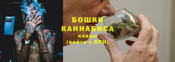 мдпв Богданович