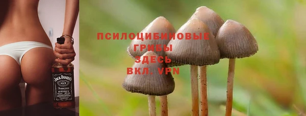 мдпв Богданович
