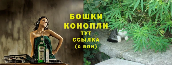 мдпв Богданович